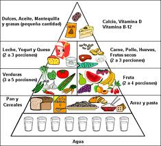 piramide_nutricional.jpg
