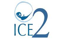 logo_ice2.jpg